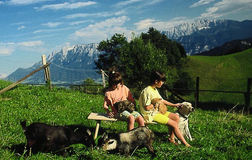 Berggasthof Bichlersee オーバーアウドルフ エクステリア 写真