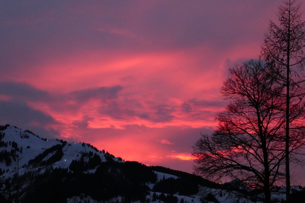 Berggasthof Bichlersee オーバーアウドルフ エクステリア 写真